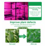 LED-Vollspektrum-Pflanzenfülllicht, Wachstumslicht – Bild 3