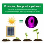 LED-Vollspektrum-Pflanzenfülllicht, Wachstumslicht – Bild 4