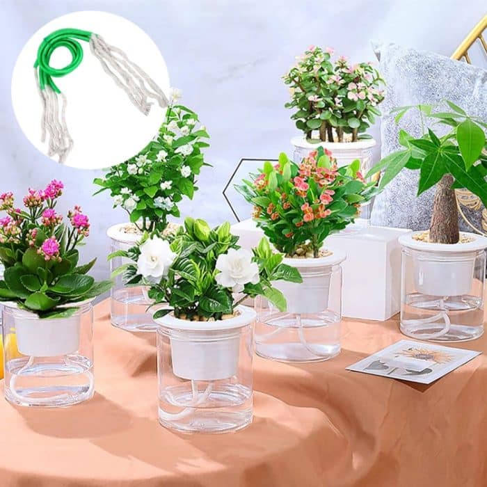 TBD0602442501A.jpg 5 Beutel Gartenbewässerung Einfaches Wassersickerseil Automatisches Bewässerungsgerät, 5 Bags Green – Bild 1