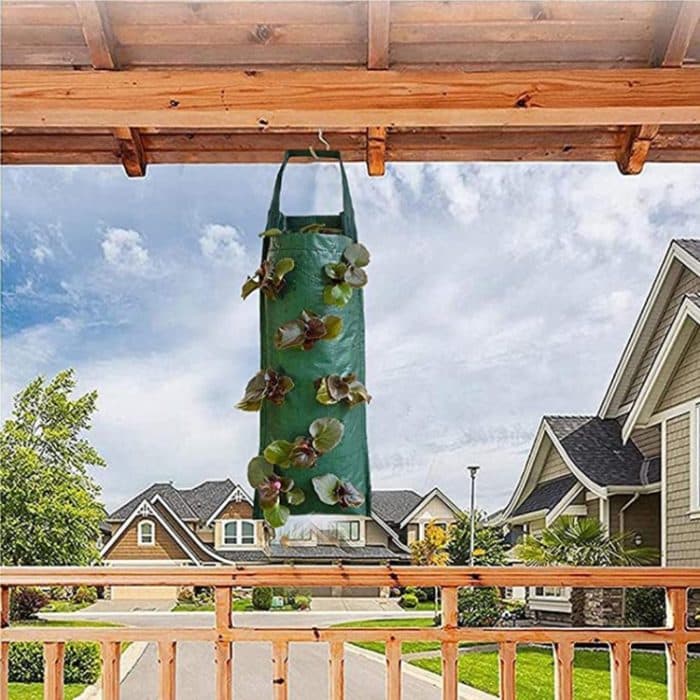 2 Stück Multi-Port-Wachstumsbeutel für Pflanzen, Erdbeeren, Kartoffeln, hängende Pflanztöpfe, 4 Port, 6 Port, 8 Port, 10 Port – Bild 6