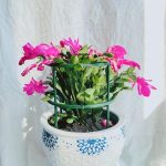 2 Sets Garten-Blumenständer, Pflanzen-Stützring aus Kunststoff, Stil:, Long Double Layer – Bild 5