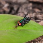 2 Stück LEO 28134 Bionic Bee Fliegenhaken Fliegender Angelhaken Schwimmköder Angelausrüstung, LEO 28134 – Bild 5