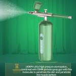 Handheld Home Sprayer Gesicht Hochdruck Sauerstoff Hydration Beauty Instrument, 2133 Green – Bild 3