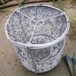 CXW003 2 Stück Fliegenfalle Fliegenvernichter Haushalt Fliegenfänger – Bild 2