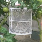 CXW003 2 Stück Fliegenfalle Fliegenvernichter Haushalt Fliegenfänger – Bild 3