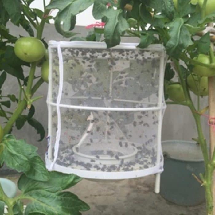 CXW003 2 Stück Fliegenfalle Fliegenvernichter Haushalt Fliegenfänger – Bild 3