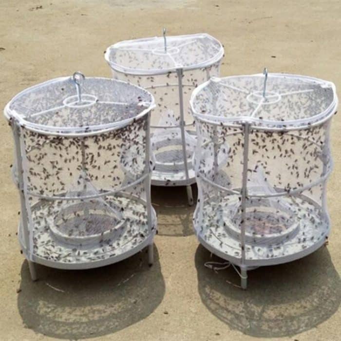 CXW003 2 Stück Fliegenfalle Fliegenvernichter Haushalt Fliegenfänger – Bild 5