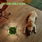 SK121 Quadratische Fliegenfalle Flohfalle Haustier Haushalt Flohlichtfänger, 1pcs, 2pcs – Bild 6