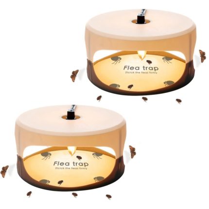 SK111 Haustier-Haushalts-Flohlampe, klebriger Flohfänger, Flohfanggerät, 2pcs US Plug, 2pcs EU Plug, 2pcs UK Plug, 2pcs AU Plug