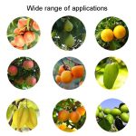 Luft-Obstpflücker aus Edelstahl, Obstpflücker, With Rod 4 Sections 1.6m, With Rod 6 Sections 2.4m, With Rod 9 Sections 3.6m, With Rod 10 Sections 4m – Bild 5