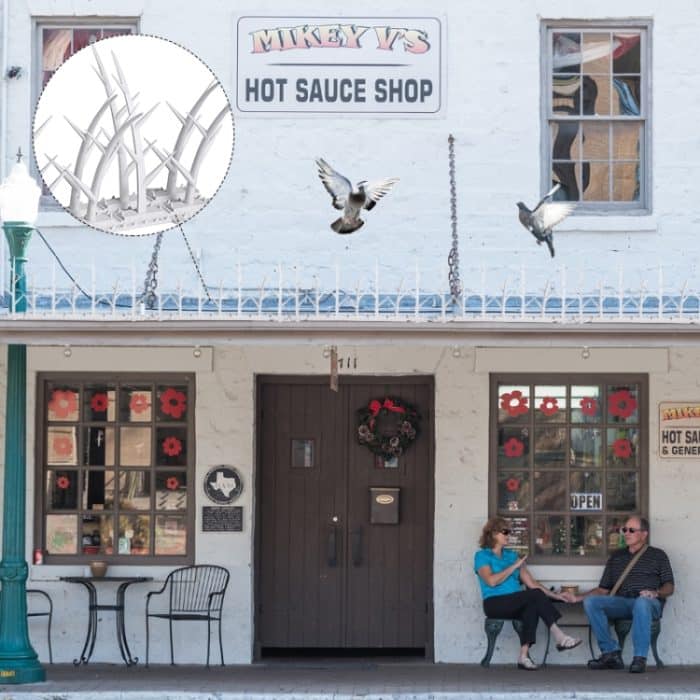 Anti-Vogel-Dorn aus Kunststoff, Diebstahlschutz, Anti-Katzen-Dorn, elektrischer Ast-Vogelabwehr-Dorn, 6pcs – Bild 7