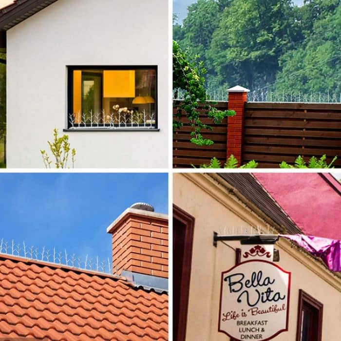 Anti-Vogel-Dorn aus Kunststoff, Diebstahlschutz, Anti-Katzen-Dorn, elektrischer Ast-Vogelabwehr-Dorn, 6pcs – Bild 8