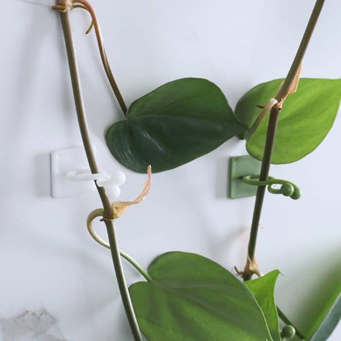 50 Stück Pflanzen-Kletterwand-Schnalle, spurloser Pflanzenfixierer, selbstklebende Haken, Small, Medium, Large – Bild 3