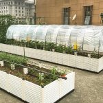 Transparente Pflanzen-Frostschutzfolie, wasserdichte Abdeckung, Fensterabdichtungsfolie, Gewächshaus-PE-Folie, 2 x 6m, 2 x 10m, 3 x 6m, 3 x 10m – Bild 7