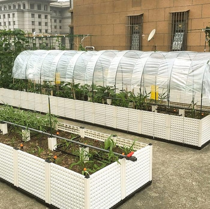 Transparente Pflanzen-Frostschutzfolie, wasserdichte Abdeckung, Fensterabdichtungsfolie, Gewächshaus-PE-Folie, 2 x 6m, 2 x 10m, 3 x 6m, 3 x 10m – Bild 7