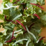 3,5 cm fischiger roter Regenwurm-Kunstköder, leuchtender Fischköder, 5bags 100pcs/bag, 5bags 200pcs/bag – Bild 5