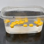 Schwimmender weicher Wasserköder mit Maisgeschmack, Kunstköder, 100pcs Large, 30pcs Large, 100pcs Small, 30pcs Small – Bild 4