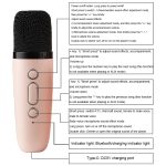 Tragbarer RGB-Lichteffekt-Bluetooth-Lautsprecher für Zuhause, Mini-Karaoke-Audio, Speaker, Single Microphone+Speaker, Dual Microphone+Speaker – Bild 4