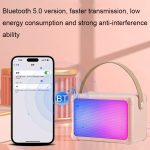 Tragbarer RGB-Lichteffekt-Bluetooth-Lautsprecher für Zuhause, Mini-Karaoke-Audio, Speaker, Single Microphone+Speaker, Dual Microphone+Speaker – Bild 7