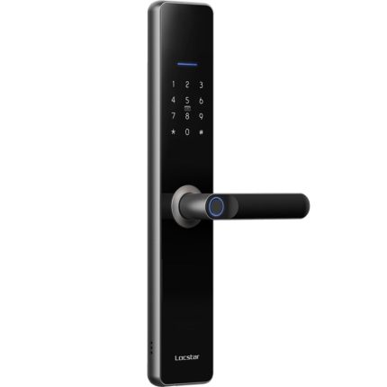 LOCSTAR WLAN-Fingerabdruckschloss, Haussicherheits-Tür-Passwortschloss, unterstützt APP-Fernentriegelung, A61 (Space Gray), A61 (Rose Gold)