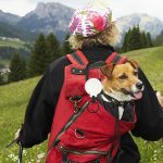 Flexible Kletterrucksack-Schnalle, einziehbare Pull-Abzeichen, Spule, Sport-Schlüsselanhänger, Flexible – Bild 6
