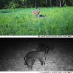 Suntek HC-801A 2,7K Outdoor-Tracking-Kamera Infrarot-Nachtsicht-Überwachungskamera – Bild 9