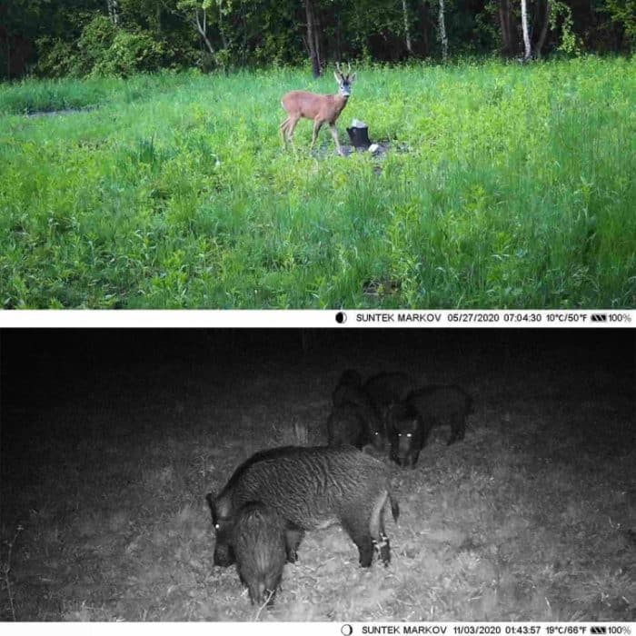 Suntek HC-801A 2,7K Outdoor-Tracking-Kamera Infrarot-Nachtsicht-Überwachungskamera – Bild 9