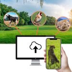 4K 4G Outdoor-Track-Kamera, Fernsteuerung über Mobiltelefon, um jederzeit Fotos/Videos anzusehen, HC-940Pro-Li – Bild 11