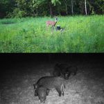 2,7K Outdoor-Tracking-Kamera Infrarot-Nachtsicht-Überwachungs-Jagdkamera, HC-810A – Bild 9