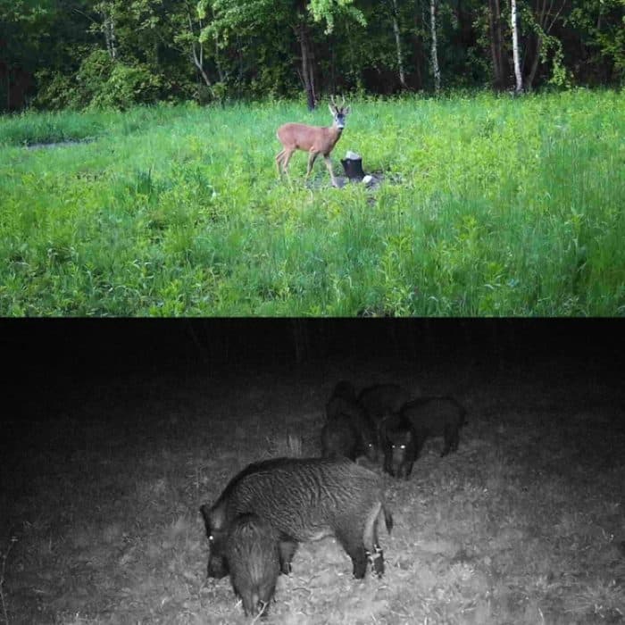 2,7K Outdoor-Tracking-Kamera Infrarot-Nachtsicht-Überwachungs-Jagdkamera, HC-810A – Bild 9