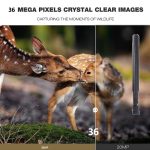 4K 4G Outdoor-Jagdkamera-App, Fernsteuerung über das Mobiltelefon, um jederzeit Fotos und Videos anzusehen, EU Plug, US Plug, AU Plug – Bild 8