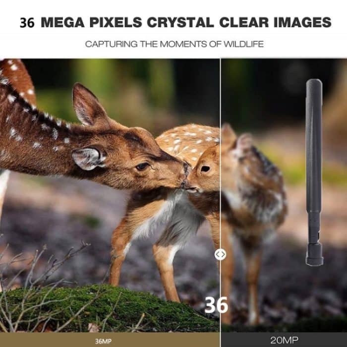 4K 4G Outdoor-Jagdkamera-App, Fernsteuerung über das Mobiltelefon, um jederzeit Fotos und Videos anzusehen, EU Plug, US Plug, AU Plug – Bild 8