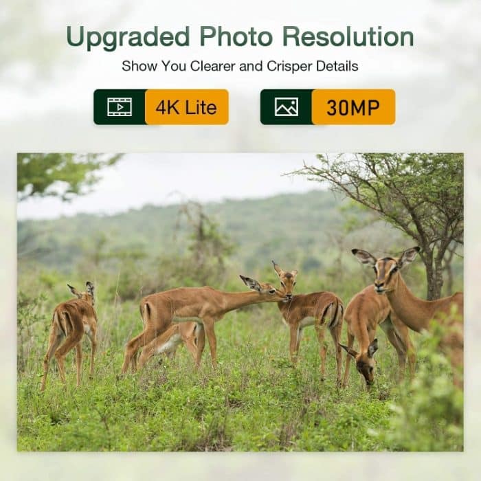 4K 4G Outdoor-Jagdkamera-App, Fernsteuerung über das Mobiltelefon, um jederzeit Fotos und Videos anzusehen, EU Plug, US Plug, AU Plug – Bild 10