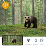 4K-Outdoor-Tracking-Jagdkamera, APP-Fernbedienung per Telefon, um Fotos/Videos jederzeit anzusehen, WiFi801Pro – Bild 6