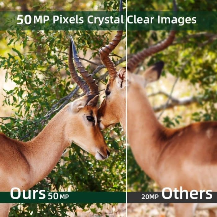 50MP + 4K Outdoor Regen Nebel Prävention Infrarot Tracking Jagd Kamera mit EU Stecker Adapter, HC-940A-Li – Bild 11