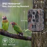 50MP + 4K Doppelobjektiv Outdoor-Regennebel-Infrarot-Spurenjagdkamera, HC-950A – Bild 5