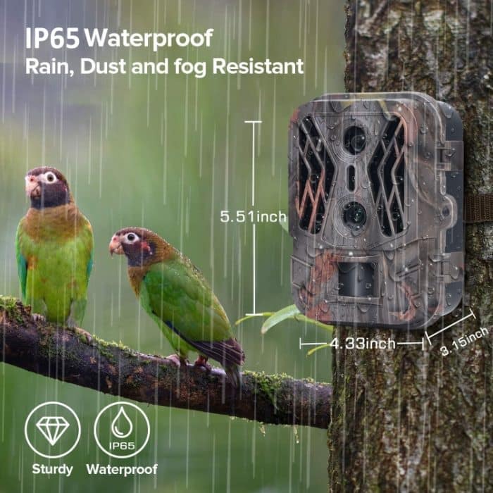 50MP + 4K Doppelobjektiv Outdoor-Regennebel-Infrarot-Spurenjagdkamera, HC-950A – Bild 5
