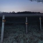 4 Stück/Box Solar-Tiervertreiber Wasserdichter Tiervertreiber mit rotem LED-Licht – Bild 7