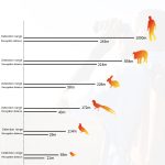 Teslong TTS260 Monokulare HD-Infrarot-Nachtsichtkamera, Outdoor-Abenteuer-Nachtsicht-Wärmebildgerät – Bild 3