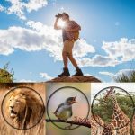 16x52 hochauflösendes Monokular-Teleskop für die Vogelbeobachtung im Freien, 16x52 Prism, 16x52 Green Film, 16x52 without Bag, 16x52 with Clip+Tripod – Bild 9