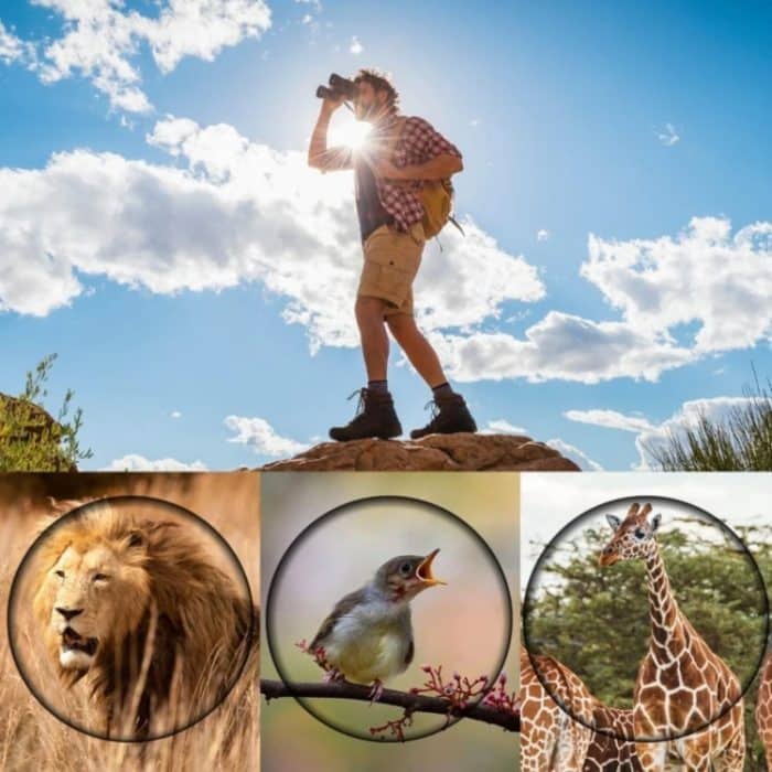 16x52 hochauflösendes Monokular-Teleskop für die Vogelbeobachtung im Freien, 16x52 Prism, 16x52 Green Film, 16x52 without Bag, 16x52 with Clip+Tripod – Bild 9