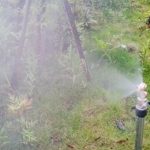 Kupfer-Drei-Loch-Landwirtschaftssprüher, Gartenbau-Sämlingsbewässerung, Staubentfernung, Kühlung, Nebeldüse, 4 Points Inner Thread, 1/2 Points Outer Thread, 1/2 Points Outer Thread With Filter – Bild 3