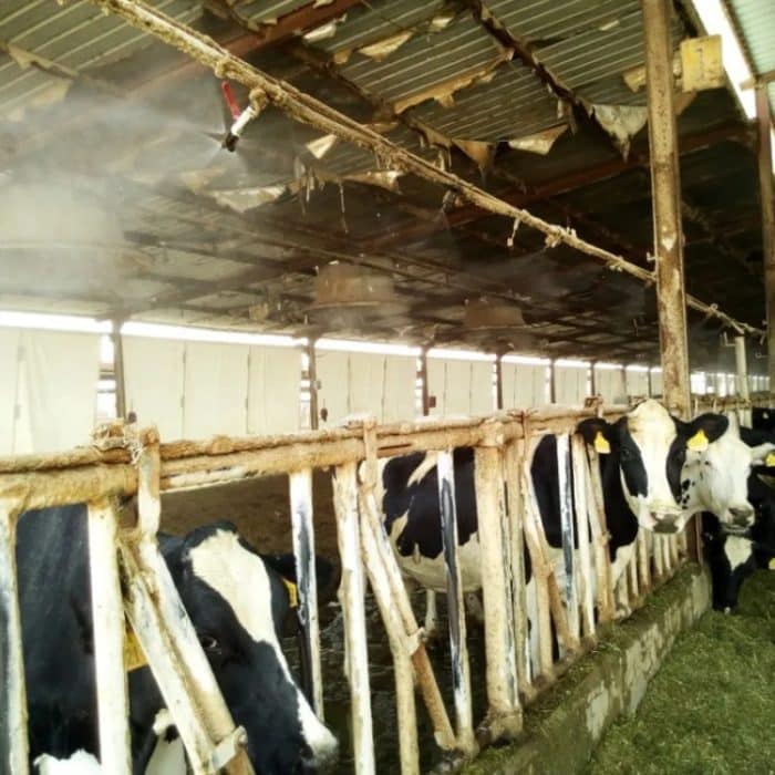 Kupfer-Drei-Loch-Landwirtschaftssprüher, Gartenbau-Sämlingsbewässerung, Staubentfernung, Kühlung, Nebeldüse, 4 Points Inner Thread, 1/2 Points Outer Thread, 1/2 Points Outer Thread With Filter – Bild 4