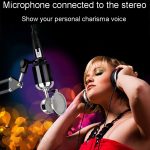 JINGHUA 6,5 Stecker auf Buchse XLR-Audiokabel 6,35 dreiadriger symmetrischer Mikrofonmischer, 1.5m, 3m, 5m, 10m – Bild 12