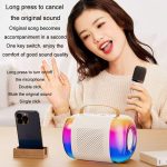 Tragbarer Bluetooth-Lautsprecher für Heim- und Außenbereich, kabelloses Karaoke-Audio, Y5 1 Microphone, Y5 2 Microphone – Bild 12