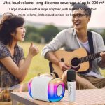 Tragbarer Bluetooth-Lautsprecher für Heim- und Außenbereich, kabelloses Karaoke-Audio, Y5 1 Microphone, Y5 2 Microphone – Bild 14