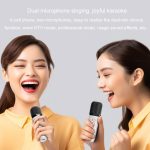 Tragbarer Bluetooth-Lautsprecher für Heim- und Außenbereich, kabelloses Karaoke-Audio, Y5 1 Microphone, Y5 2 Microphone – Bild 15