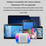 Tragbarer Bluetooth-Lautsprecher für Heim- und Außenbereich, kabelloses Karaoke-Audio, Y5 1 Microphone, Y5 2 Microphone – Bild 16