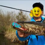 PROBEROS FR039 Mini Thunderfrog Köder Simulation Soft Bait Blackfish Angelköder, 7g/4.5cm – Bild 12