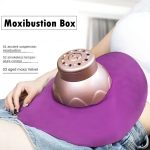 Tragbare Moxibustionsbox, Taille, Bauch, Moxibustionsausrüstung – Bild 3